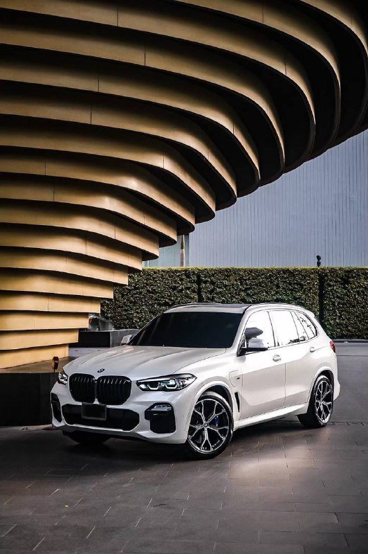 BMW X